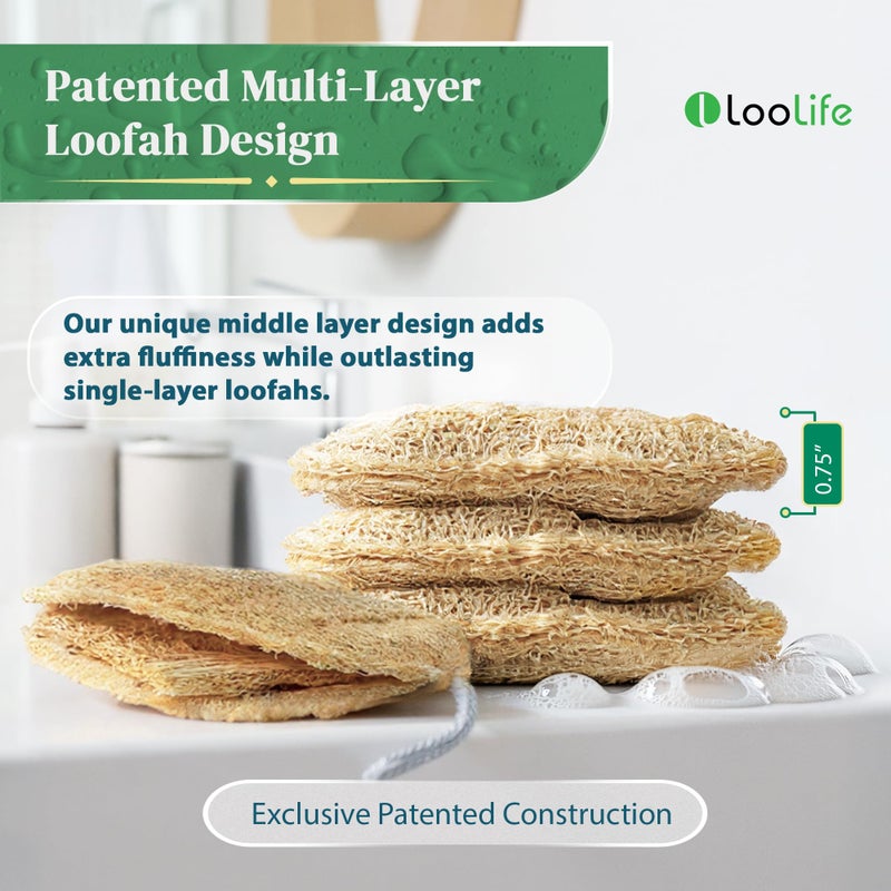 LooLife Natural Loofah Exfoliating Sponge (4 Pack) - Organic Loofah for Body - Biodegradable Shower Luffa - Natural Bath Sponges Loufa - Estropajos para el Cuerpo - Image 3